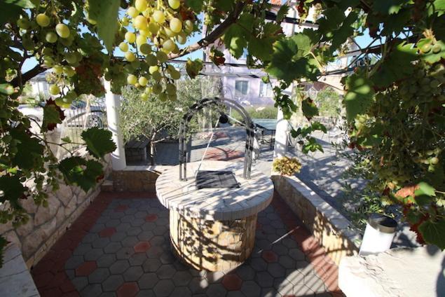 Apartments Helena Zadar ヴーシ エクステリア 写真
